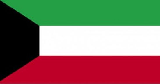الكويت: مراجعة 15ألفا و514 شهادة دراسية للكويتيين والمقيمين بالدولة
