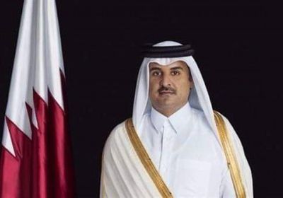 الزعتر: قطر تعيش حالة تناقض