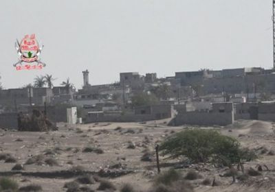 قصف حوثي على مواقع العمالقة والقوات المشتركة في الدريهمي