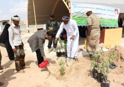 تدشين حملة غرس الأشجار في مدارس الغيضة (صور)
