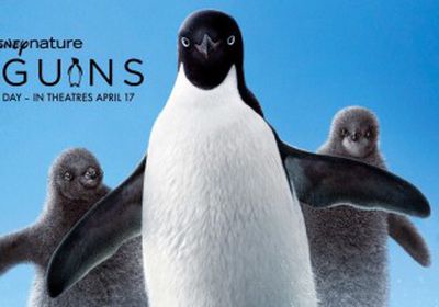 شاهد إعلان الفيلم الوثائقي الجديد Penguins