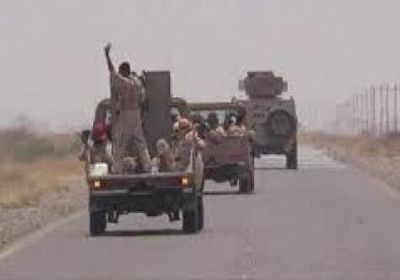 مونت كارلو الدولية: معارك عنيفة بين ألوية العمالقة ومليشيا الحوثي بالحديدة