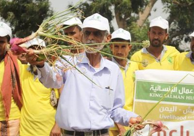 دورة جديدة في مكافحة الحشرات لتحسين الأداء الزراعي بلحج