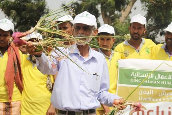 دورة جديدة في مكافحة الحشرات لتحسين الأداء الزراعي بلحج