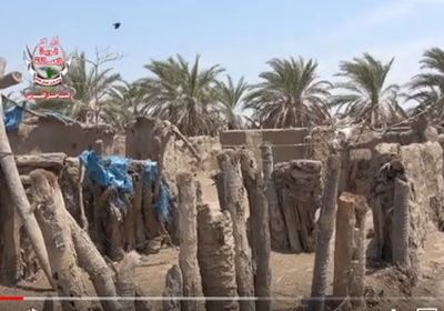 مليشيات الحوثي تهلك الحرث والنسل في الحديدة (فيديو) 