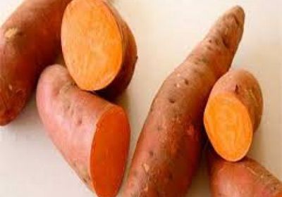 دراسة أمريكية حديثة : البطاطا تساعد على تنظيم نسبة السكر في الدم