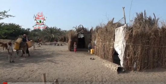 مليشيات الحوثي تقتل الحياة في التحيتا بالحديدة (فيديو)