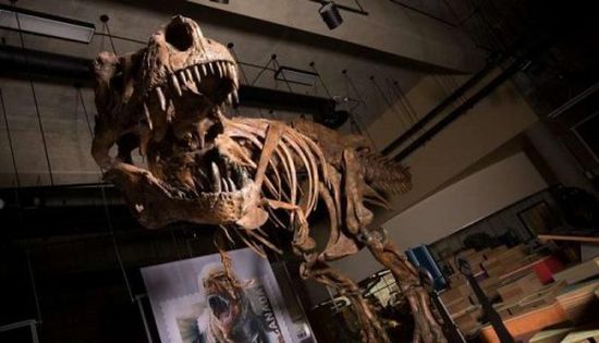 تاريخه 66 مليون عام..كندا تعلن عن أقدم وأضخم ديناصور في العالم