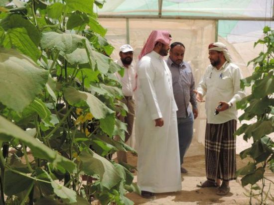 البرنامج السعودي يستعرض احتياجات وادي وصحراء حضرموت 