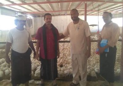 زيارة تفقدية لمزارع الدواجن بمديريتي عتق والروضة بشبوة للتأكد من السلامة المهنية (صور)