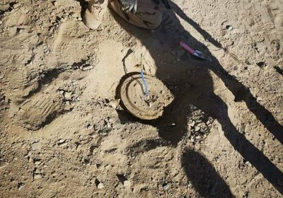 عملية الجبال البيضاء.. النخبة الشبوانية تنزع عشرات الألغام والمتفجرات بوادي خورة (صور)