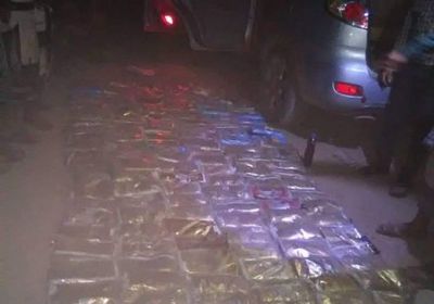 إحباط محاولة تهريب 135 كيلو حشيش في ردفان 