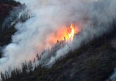 البرتغال: بدء الاستعدادات بجمع أعداد قياسية من قوات ومعدات الإطفاء