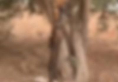 العثور على جثة وافد يمني في وضع مزري بالسعودية.. تفاصيل