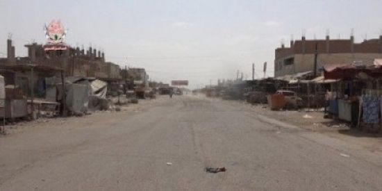 مليشيا الحوثية تواصل قصف مواقع العمالقة بالحديدة