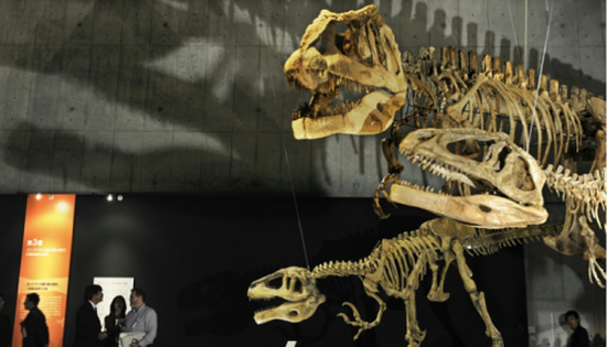 تاريخه 150 مليون عام.. هيكل عظمي لديناصور للبيع في مزاد بفرنسا