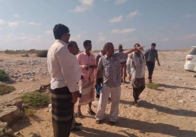 تدشين أول محصول من الخيار للبيوت المحمية بحصوين