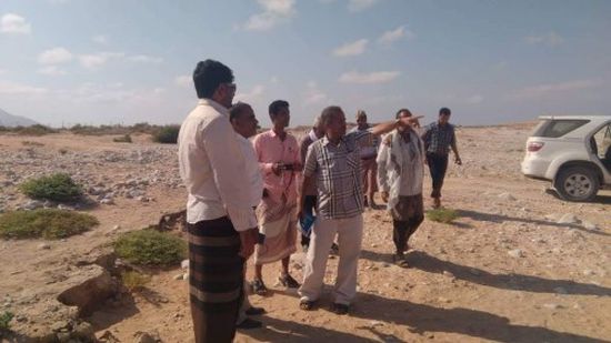 تدشين أول محصول من الخيار للبيوت المحمية بحصوين