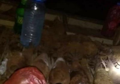 الكشف عن مخازن للعبوات والقذائف الناسفة بمزرعة في جعار بأبين (صور)