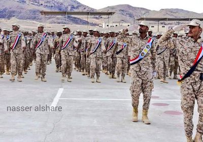 اليافعي: الجنوب قادم من أوسع أبواب التاريخ 