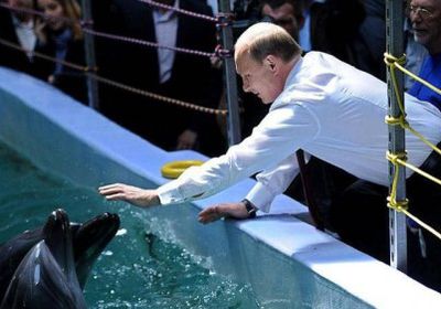 صحيفة: الجيش الروسي استخدم قوى خارقة تعلموها من "الدولفين" في حرب الشيشان