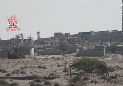 مليشيات الحوثي تقصف مواقع العمالقة والقوات المشتركة بالدريهمي