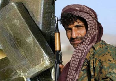 تجارة الحشيش تشعل خلافات بين قيادات الحوثي 