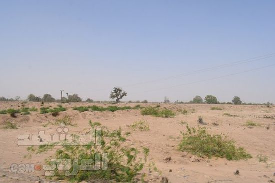 بستان الحسيني.. احتطاب ومشاريع تمحو ما بقي من معالمه