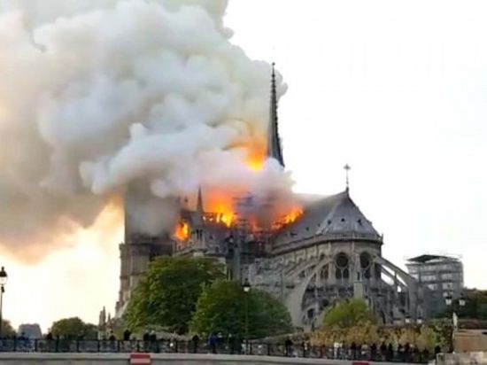 قرقاش يعرب عن حزنه الشديد جراء تدمير كاتدرائية نوتردام في باريس