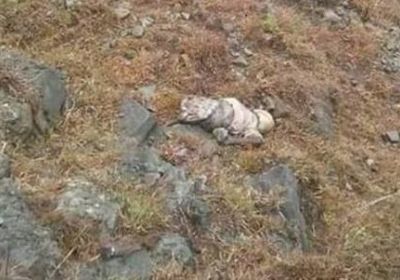 تفاصيل العثور على جثة طفل بعد أيام من اختفائه بتعز