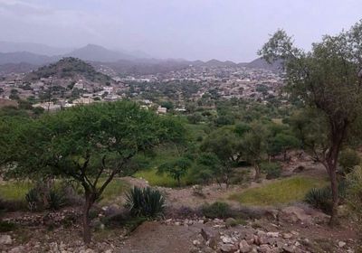 مصادر: انفجار قوي يهز الضالع