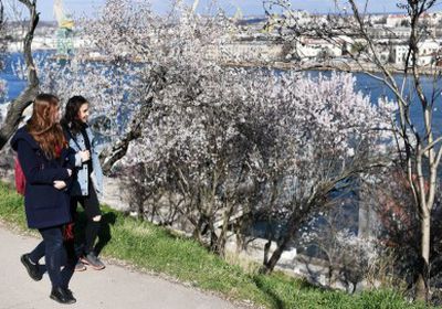 ألمانيا.. برلماني يقترح تعليم السوريين في "القرم"  لإعدادهم للعودة إلى ديارهم