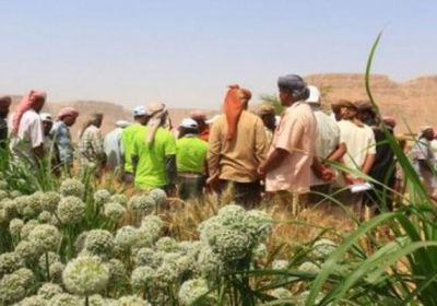 ورشة عمل لدعم 200 مزارع بمديريتي سيئون وتريم