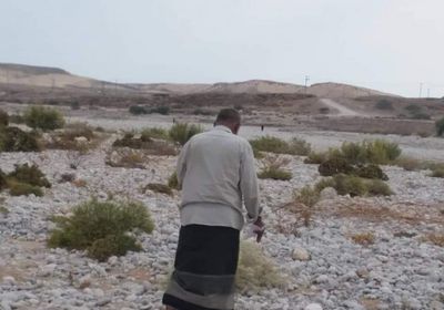 دراسة خام الركام الودياني بمنطقة تبالة في حضرموت