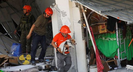 ارتفاع عدد ضحايا زلزال الفلبين إلى 11 قتيلًا و24 مفقودًا