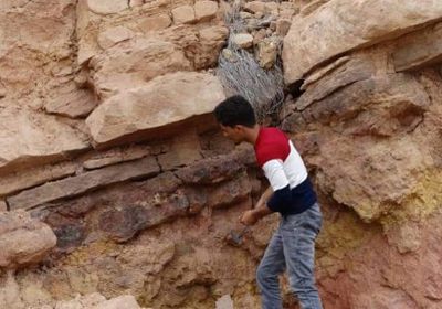 "المساحة الجيولوجية" بحضرموت تدرس الفحم الصخري بدوعن