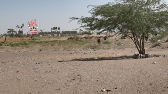 قصف جديد من مليشيا الحوثي لمواقع العمالقة بالجبلية