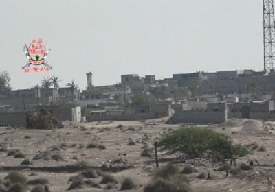 استهداف مزارع المواطنين من قبل الحوثيين في التحيتا