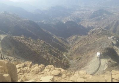 بن عطاف ينشر صورا من مشروع طريق الشهيد صبري قماطة