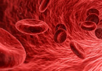 دراسة علمية: اختبار الدم البسيط يكشف الإصابة بـ"ألزهايمر"