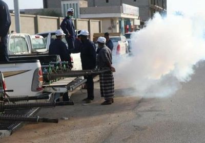 البرنامج الوطني لمكافحة الملاريا يواجه حمى الضنك بحملة وقائية بالمكلا (صور)