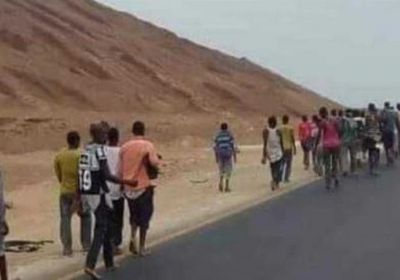 وسط مخاوف من انتشار الأوبئة.. انتشار مكثف لحشود من الأفارقة في المنصورة