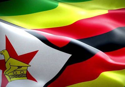الدفاع الزيمبابوية: سنشارك في القمة الروسية الإفريقية