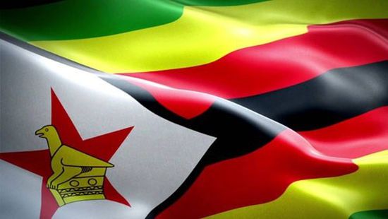 الدفاع الزيمبابوية: سنشارك في القمة الروسية الإفريقية