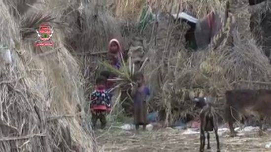 مليشيا الحوثي تواصل تشريد العديد من الأسر بالحديدة (فيديو)