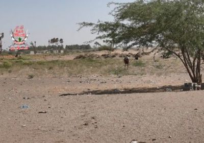 مليشيات الحوثي تشن عملية استهداف مكثفة على مواقع العمالقة في الجبلية 