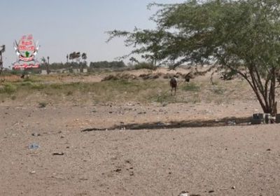 مليشيات الحوثي تقصف مواقع العمالقة في الجبلية بالحديدة 