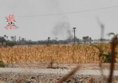 مليشيات الحوثي تحشد عناصرها نحو التحتيا بالحديدة