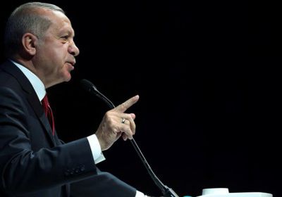 السلمي: أردوغان يسير على نمط الولي الفقيه