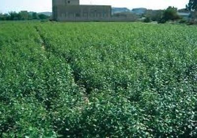 ورشة عمل لتقييم أنشطة الإرصاد الزراعي بعدن